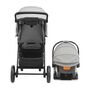 Bravo LE Trio Travel System in Driftwood Back View