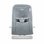 Chicco E-Motion Glider Bouncer in Grey Front View