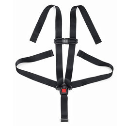 NextFit iX Zip Convertible Car Seat 5-Point Harness with Chest Clip in 