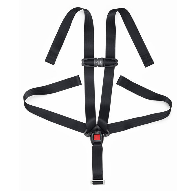 NextFit iX Zip Convertible Car Seat 5-Point Harness with Chest Clip in  image number 0