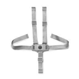 Zest or Zest LE High Chair Harness in 
