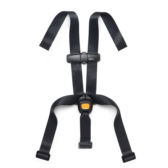 Fit360 Rotating Convertible Car Seat 5-Point Harness with Magnetic Chest Clip in  image number 0