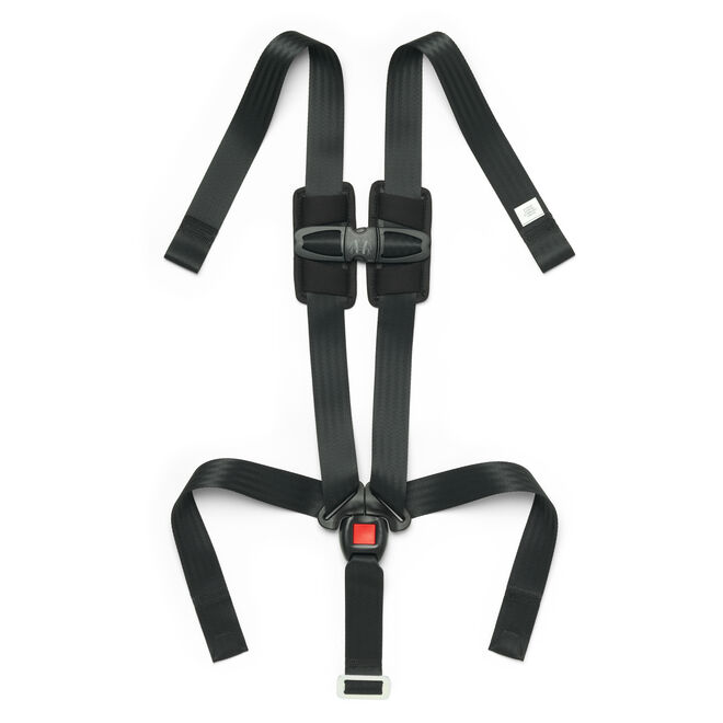 MyFit Harness + Booster Car Seat 5-Point Harness with Chest Clip in  image number 0