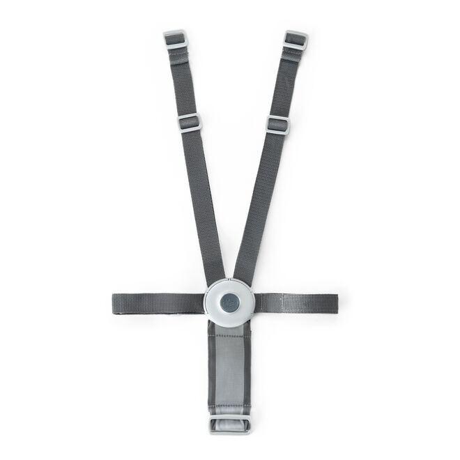 Polly High Chair 5-Point Harness in  image number 0