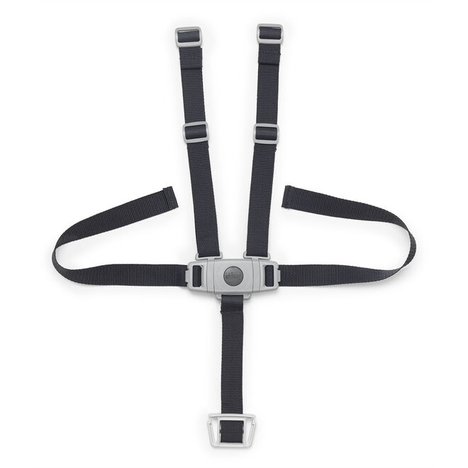 Stack High Chair 5-Point Harness in  image number 0