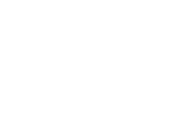 MyFit Harness and Booster Car Seat Products