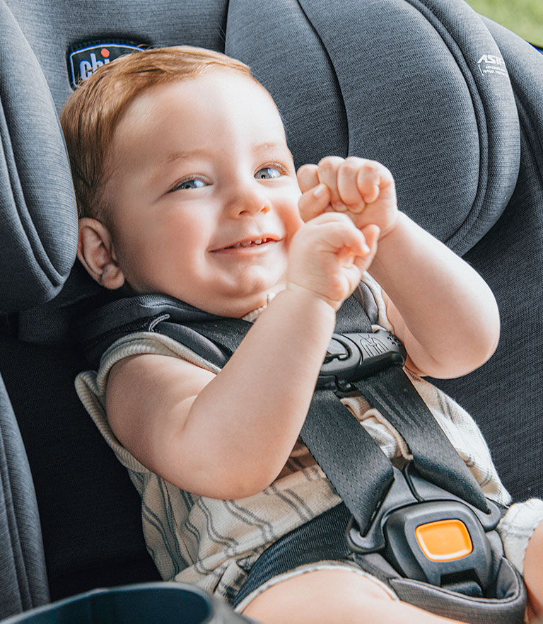 Chicco OneFit LX Rear-Facing image