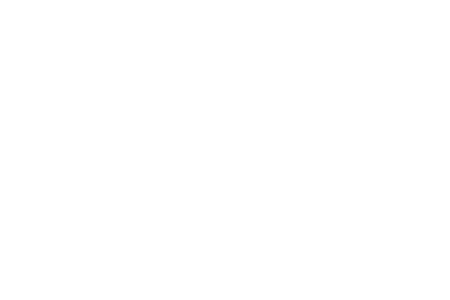 Bravo LE Travel System