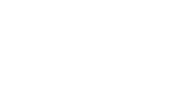 Corso Flex Convertible Stroller