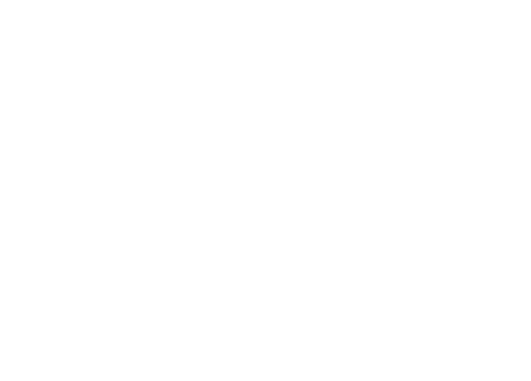 Corso Primo Travel System in Stellar