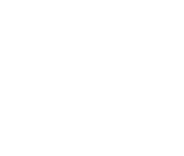 Forward-Facing Car Seat