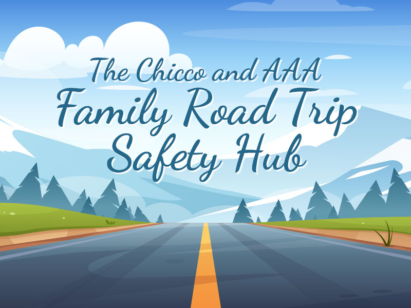 Family Road Trip Safety Hub banner image
