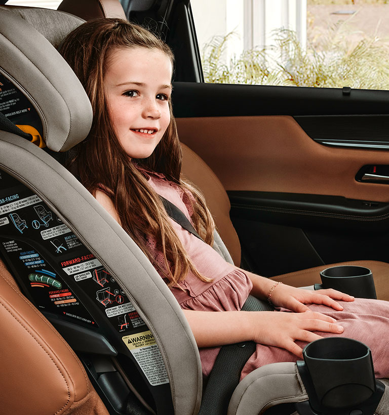 Chicco Fit3x Booster image