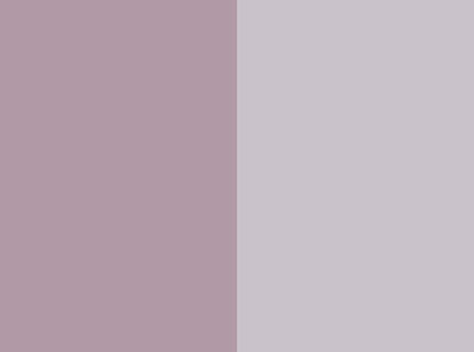 Lavender Fashion
