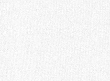 White Fashion