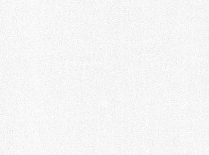 White Fashion