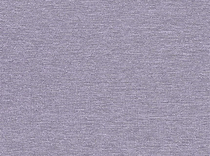 Lavender Fashion