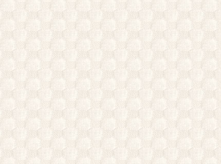 Ivory Fashion